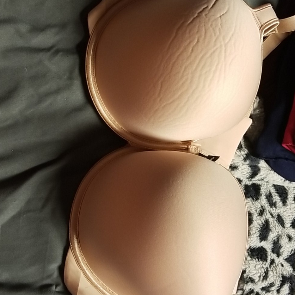 Torrid bra